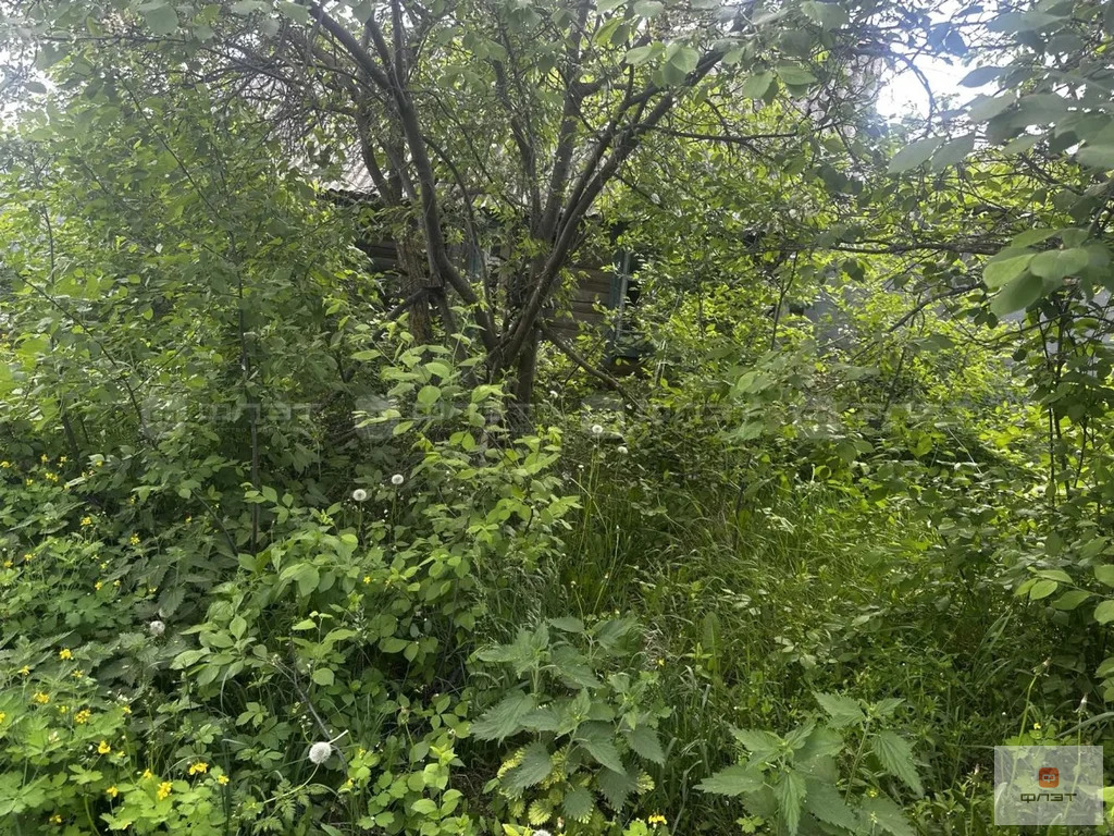 Продажа участка, Красновидово, Камско-Устьинский район, ул. Школьная - Фото 7