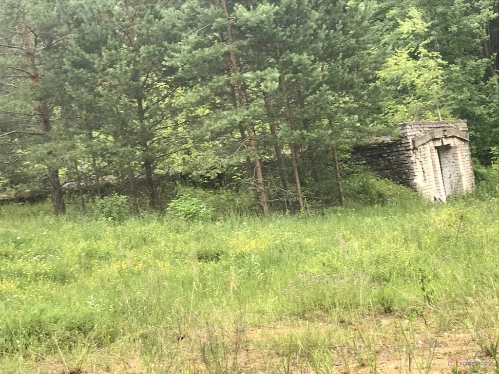 Продажа ПСН, Серебряники, Вышневолоцкий район - Фото 17