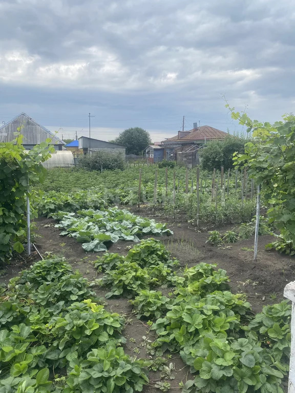 Продажа дома, Новоалтайск, ул. К.Маркса - Фото 10