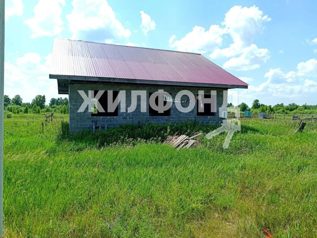 Продажа дома, Большой Оеш, Колыванский район, ул. Суворова - Фото 2