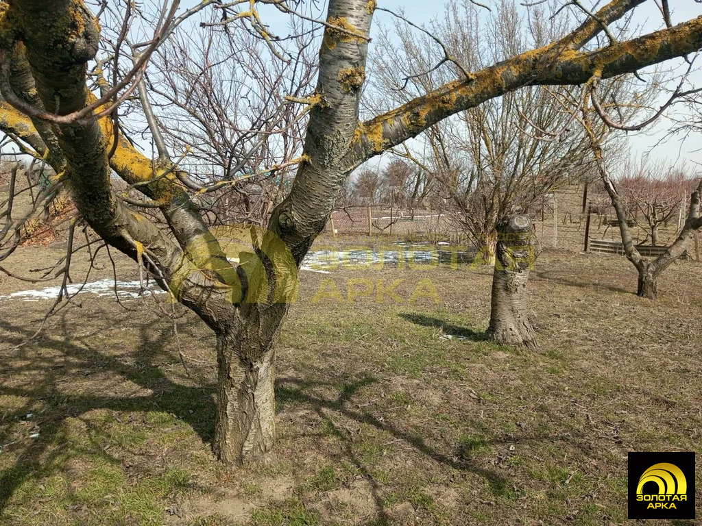Продажа участка, Стрелка, Темрюкский район, ул. Коммунаров - Фото 3