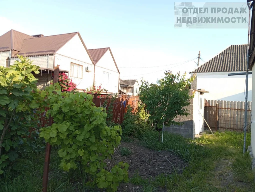 Объект 537381 - Фото 10