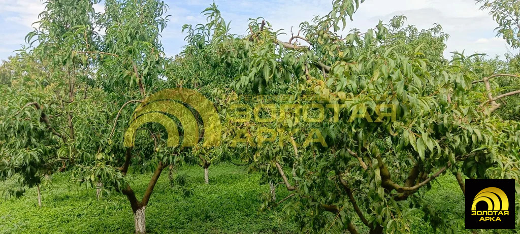 Продажа дома, Коржевский, Славянский район - Фото 16