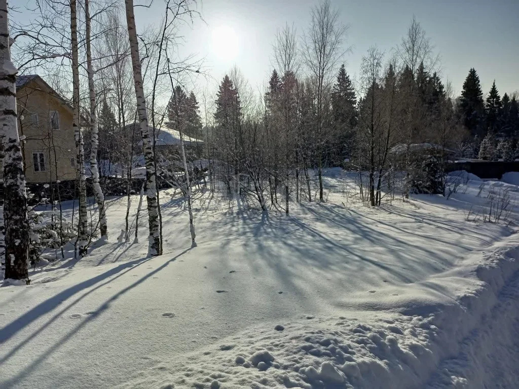 Продажа участка, Сокольники, Дмитровский район - Фото 6