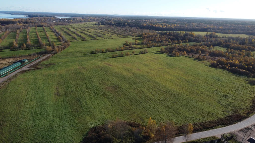 Продажа участка, Барышево, Выборгский район - Фото 1