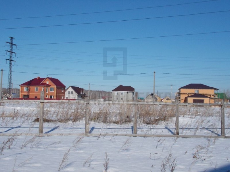 Село толмачево новосибирская область фото