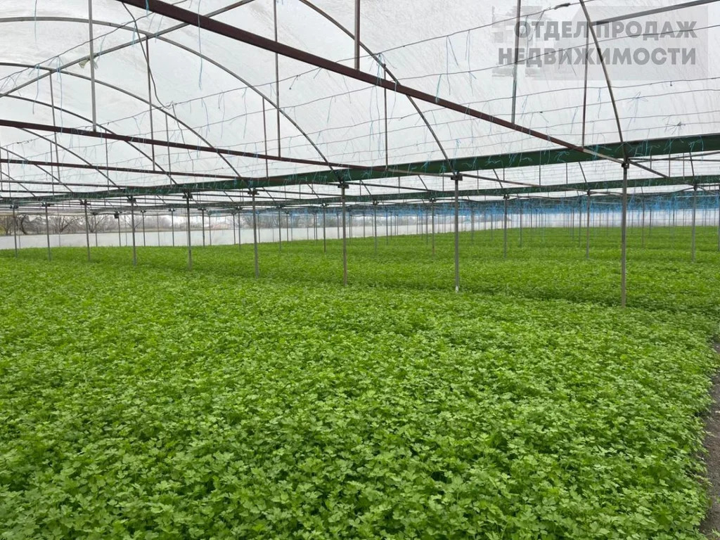 Участок с готовым бизнесом - Фото 3