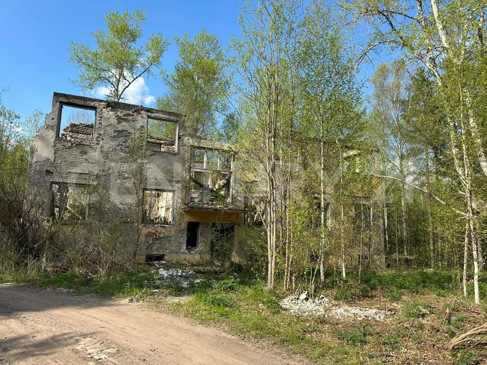 Продажа земельного участка, Каменногорск, Выборгский район - Фото 10