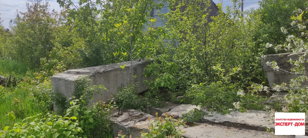 Продажа участка, Мержаново, Неклиновский район, Голубые ели сад - Фото 5