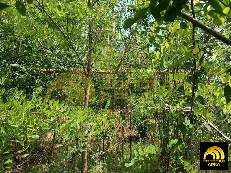 Продажа участка, Мингрельская, Абинский район, ул. Степная - Фото 7