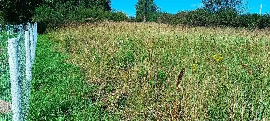 12соток Дмитровский район п.свх.Буденновец. - Фото 4