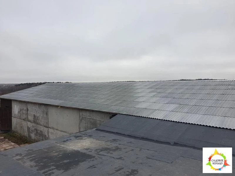 Сдается чистый сухой, неотапливаемый склад площадью 750 кв - Фото 1