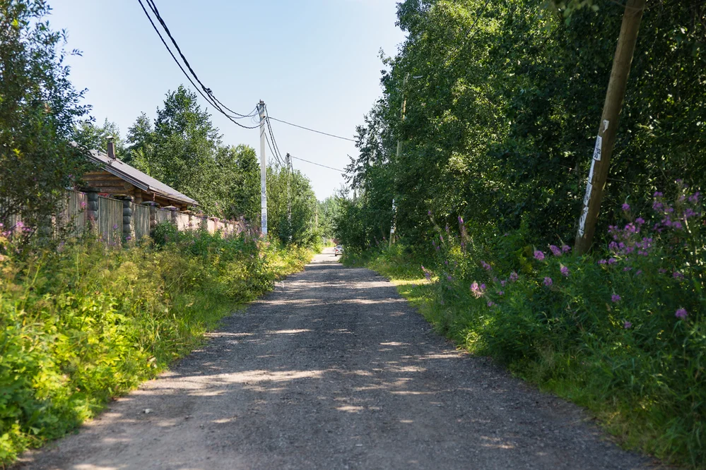 Ильичево ленинградская область фото