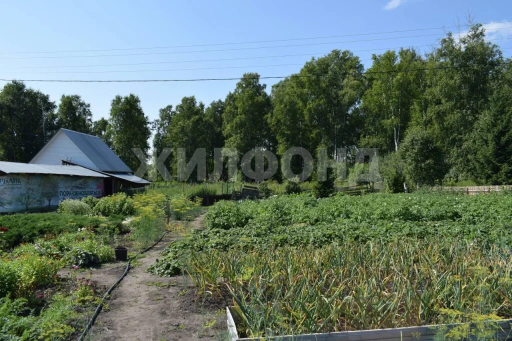 Продажа дома, Новосибирск, ст Солнечное - Фото 31