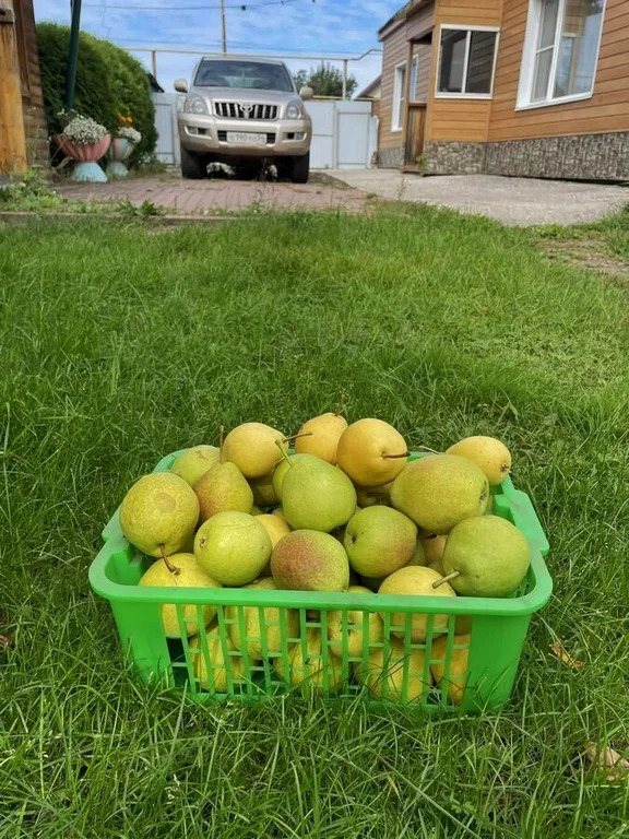 Продажа дома, Новопичугово, Ордынский район, ул. Школьная - Фото 12