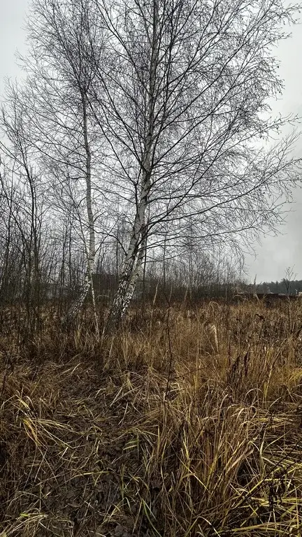 Раменский р-н ДНП "Зеленая Опушка-2" - Фото 9