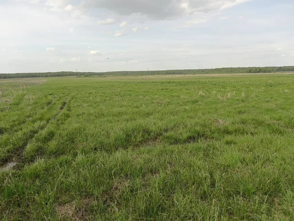 Продажа участка, Богородское, Коломенский район - Фото 2