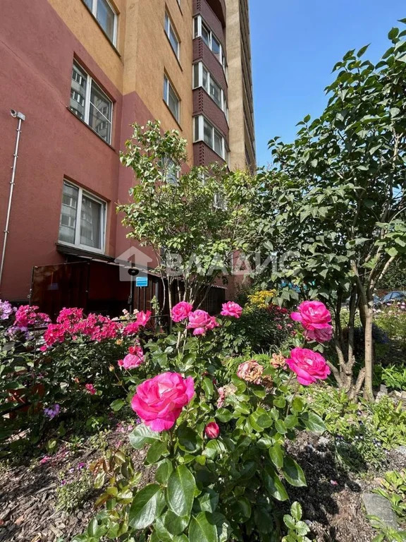 Всеволожский район, Мурино, Оборонная улица, д.2к3, 2-комнатная ... - Фото 25