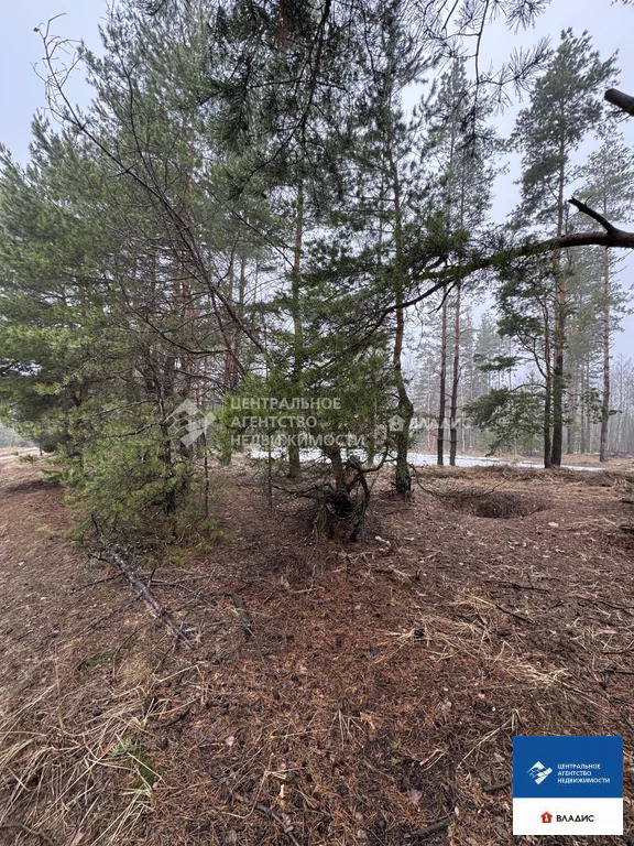 Продажа участка, Рязанский район, садоводческое товарищество ... - Фото 5