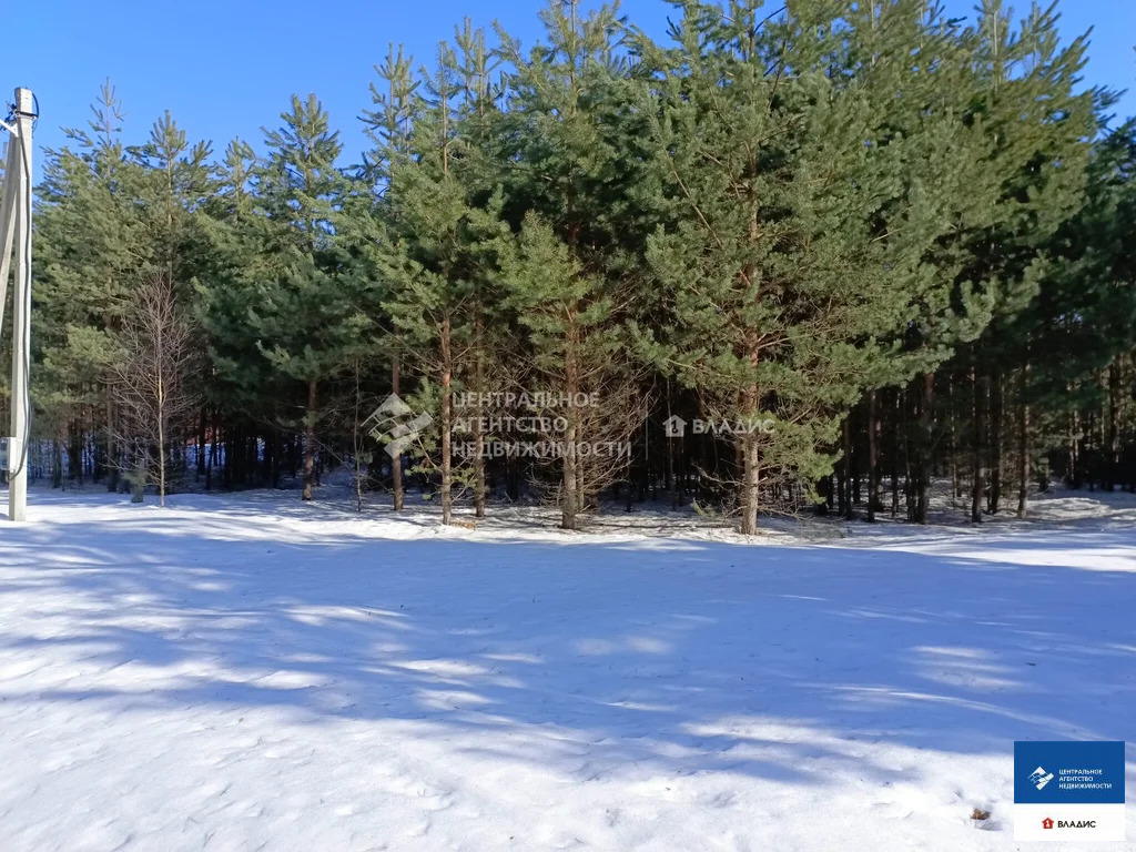 Продажа участка, Алеканово, Рязанский район - Фото 3