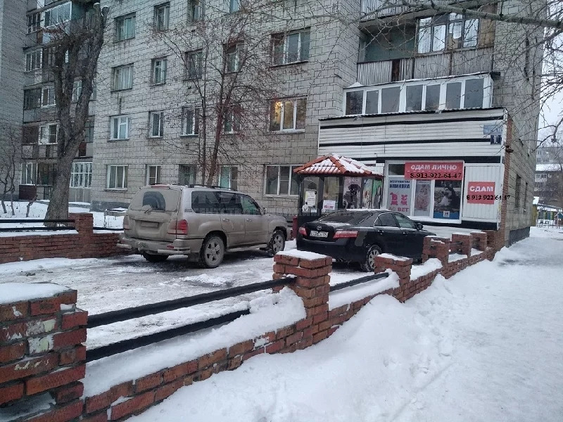 Нижний новгород улица шекспира 12 восток сервис. Ул Шекспира 10/1 Новосибирск. Шекспира 10 Новосибирск. Новосибирск улица Шекспира. Некрасова 50-22.