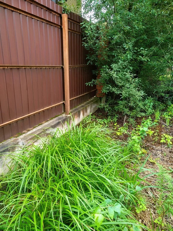 Продажа участка, Владычино, Волоколамский район - Фото 6