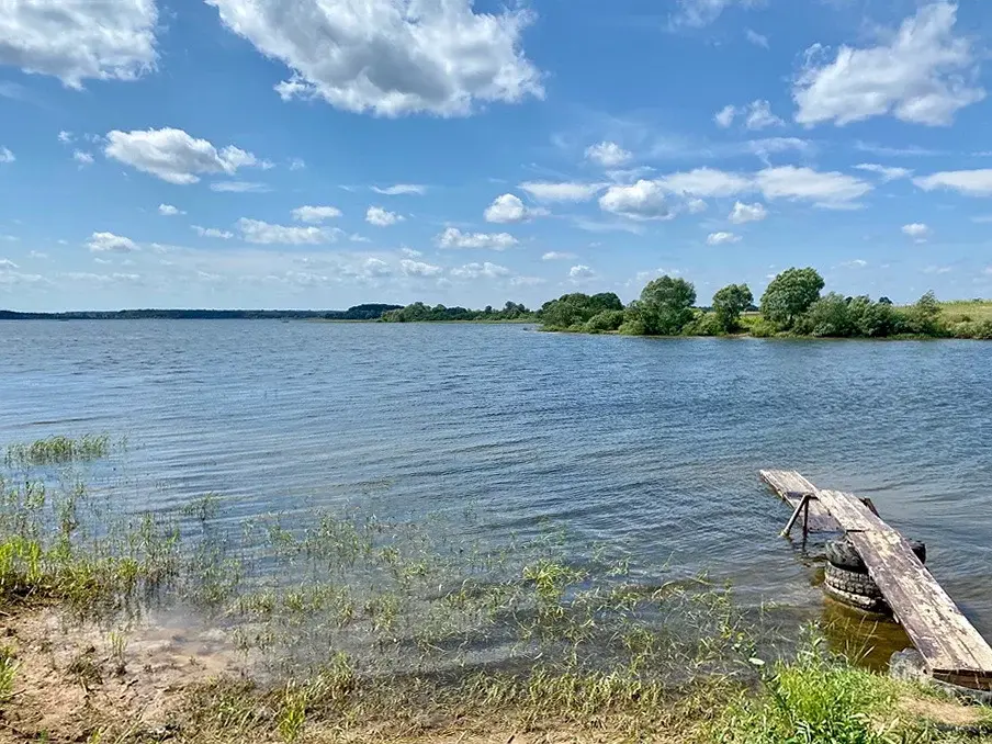 Акатово водохранилище. Рузское водохранилище Овсяники. Рузское водохранилище деревня Акатово. Овсяники Московская область. Московская область, Рузский городской округ, Акатово деревня.