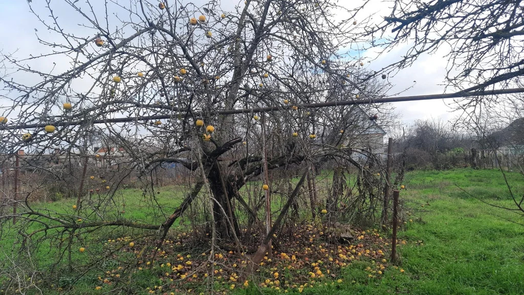 Продажа дома, Абинск, Абинский район, ул. Гречко - Фото 17