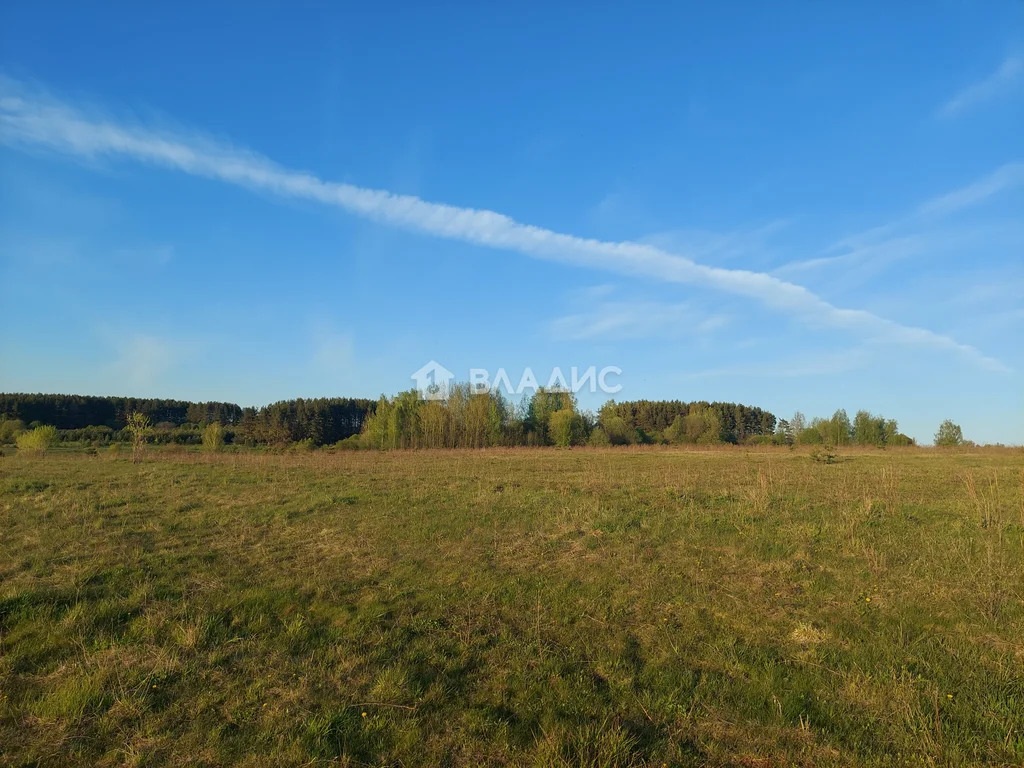 Земельный участок на продажу, Юрьев-Польский район, село Небылое, ... - Фото 13