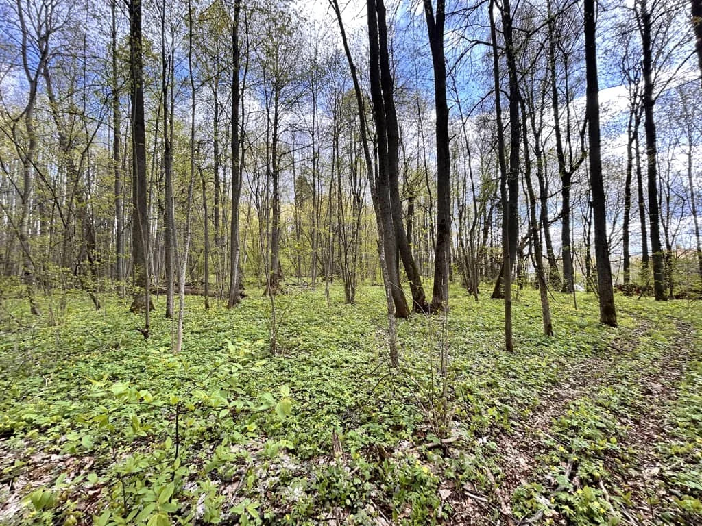 Продажа участка, Сокольники, Дмитровский район - Фото 5