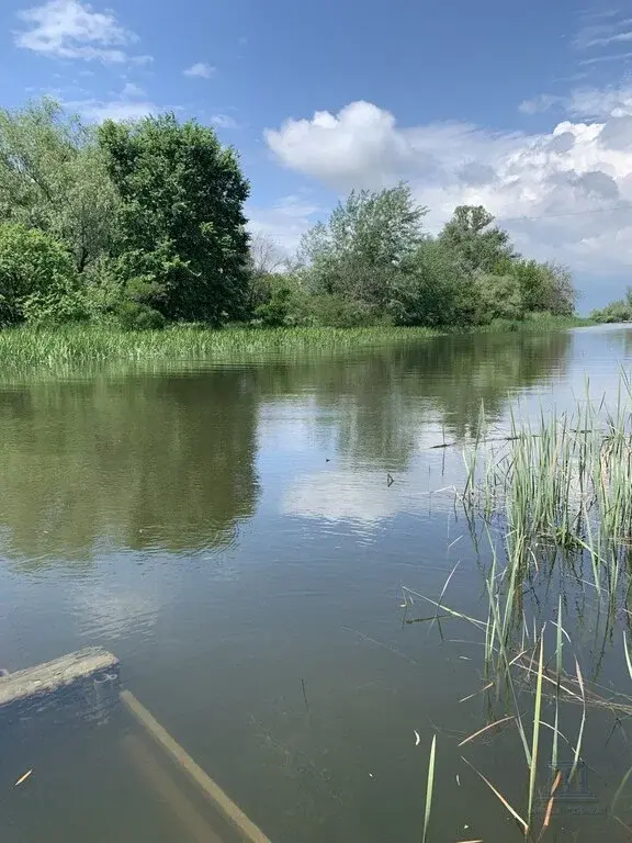 Продаю участок 7 cот в Рогожкино Азовский район Ростовской области - Фото 7