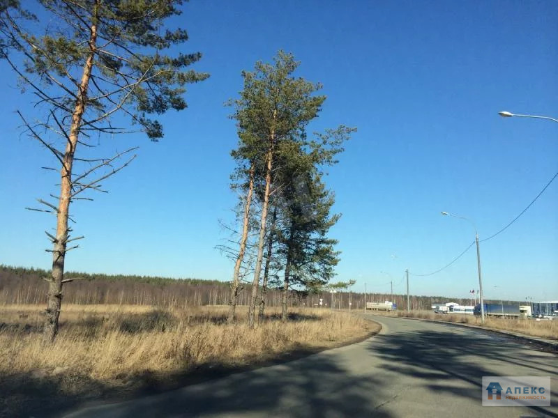 Продажа земельного участка под площадку, пищевое производство, склад ... - Фото 0