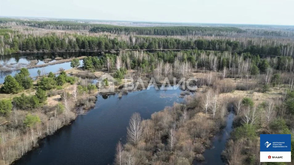 Продажа дома, Клепиковский район - Фото 17