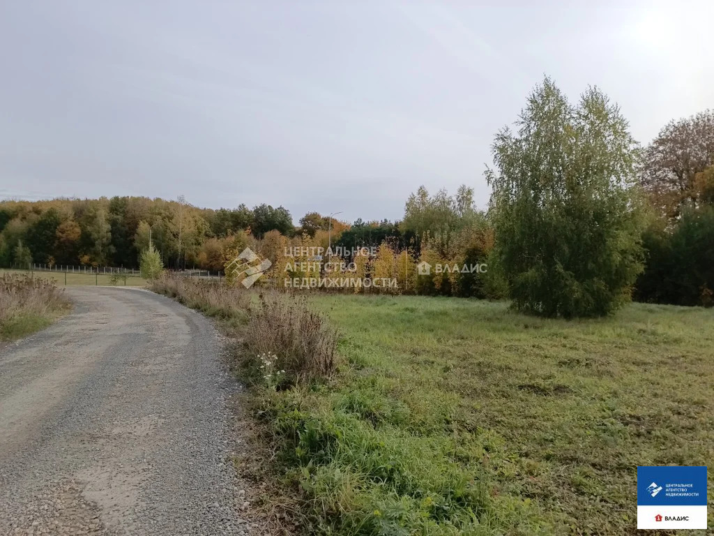 Продажа участка, Дубняки, Рязанский район - Фото 5