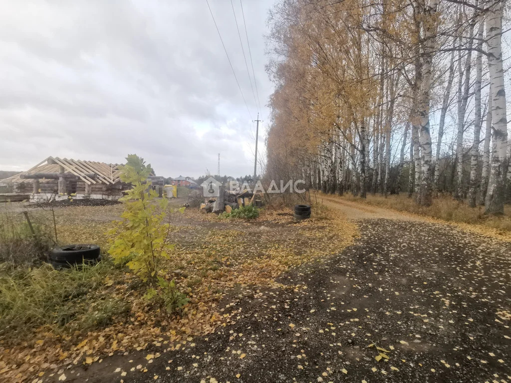 Суздальский район, село Новоалександрово,  земля на продажу - Фото 5