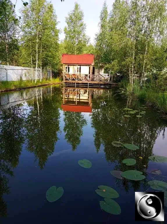 Московская область, г.о. Шаховская, садоводческое некоммерческое товар - Фото 2