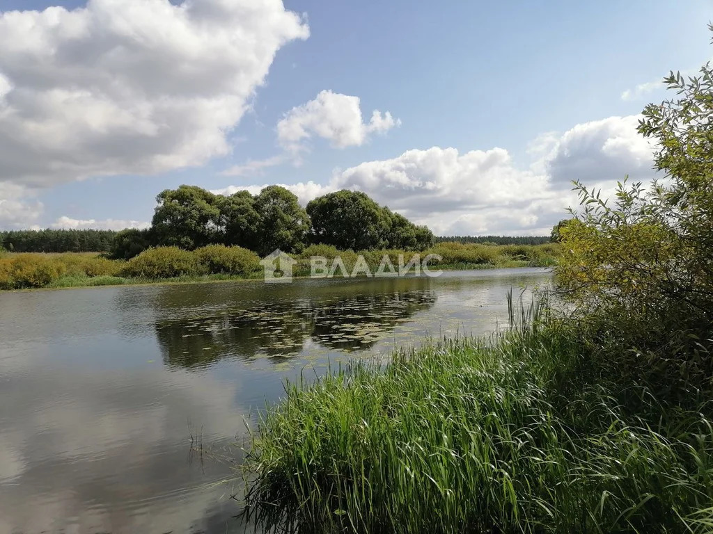 Суздальский район, село Переборово,  земля на продажу - Фото 3