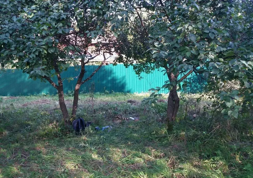 6 соток в Хоругвино, СНТ Дубрава - Фото 4