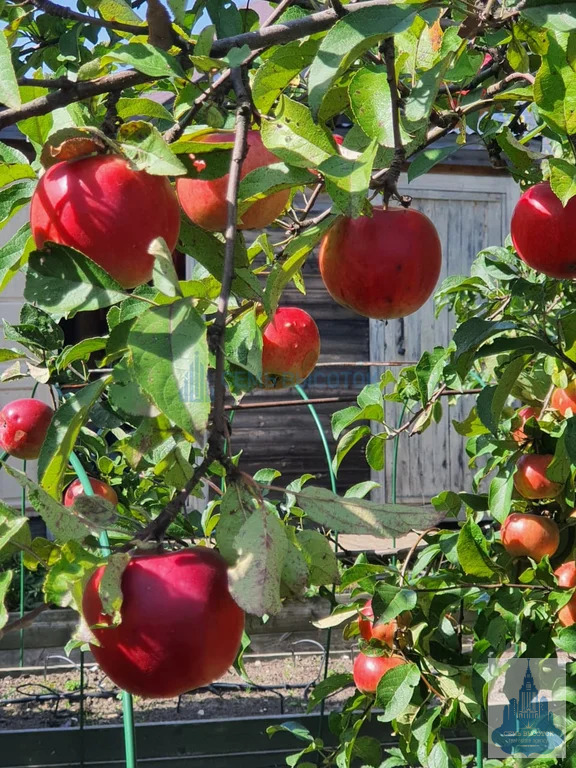 Продажа дома, Подольский район, 12 - Фото 34