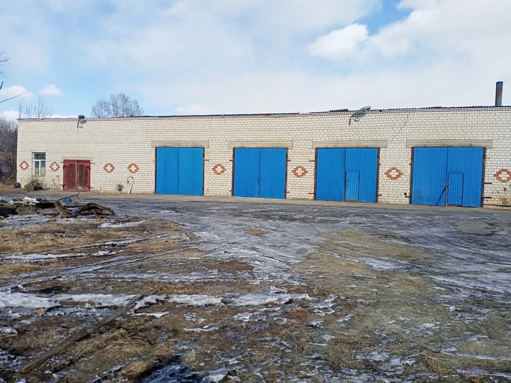 Продажа производственного помещения, Свободный, ул. Луговая - Фото 3