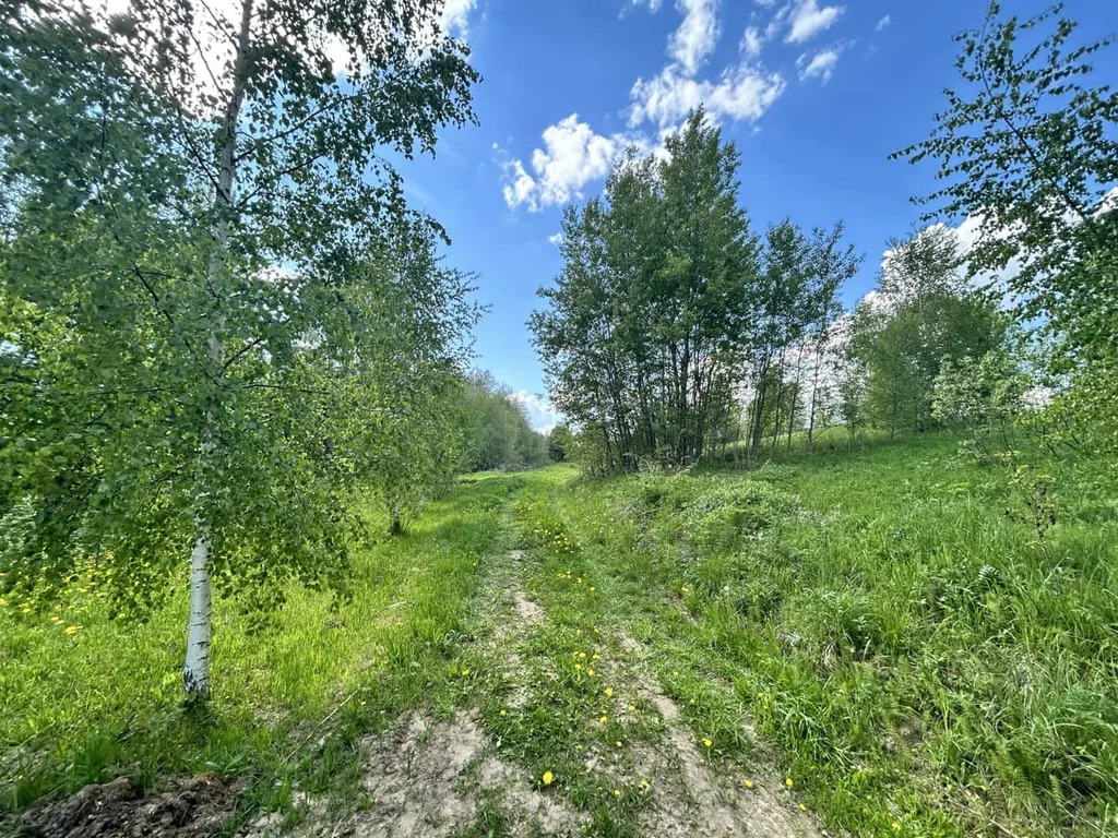 Продажа участка, Садниково, Дмитровский район - Фото 5