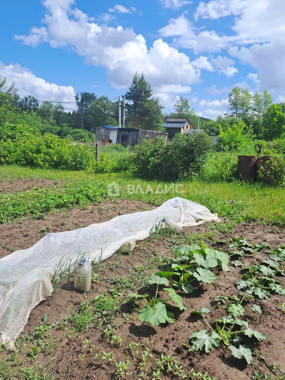 Суздальский район, посёлок Садовый, 4-й квартал, Весенняя улица,  ... - Фото 12