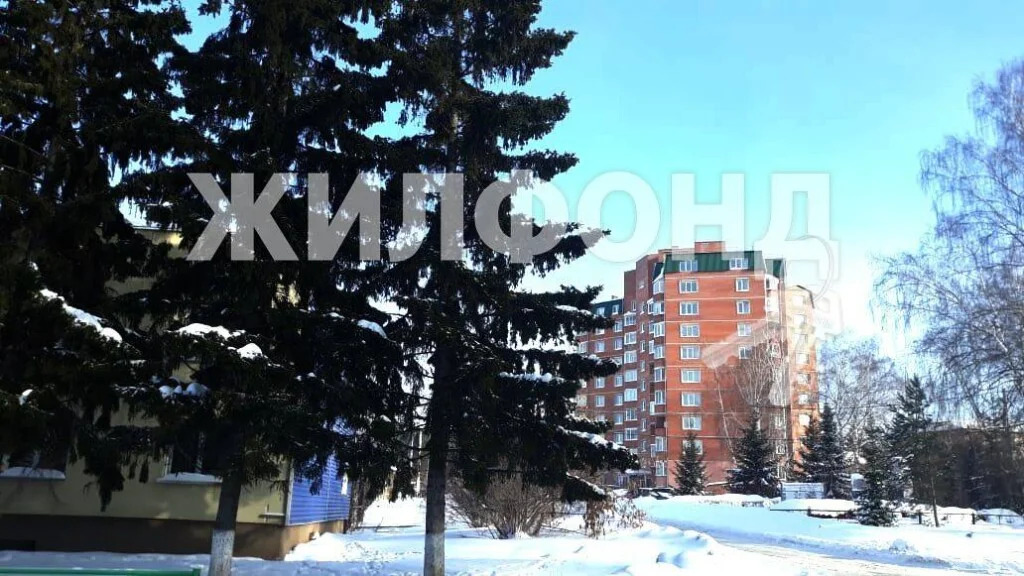 Продажа квартиры, Новосибирск, ул. Боровая Партия - Фото 20