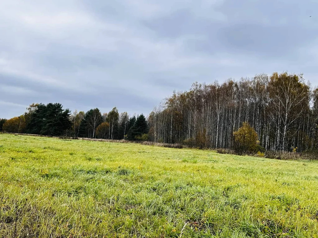 Продажа участка, Княжево, Дмитровский район - Фото 0