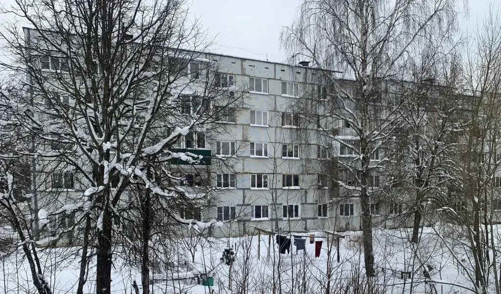 2-х комнатная квартира в с. Рождествено - Фото 1