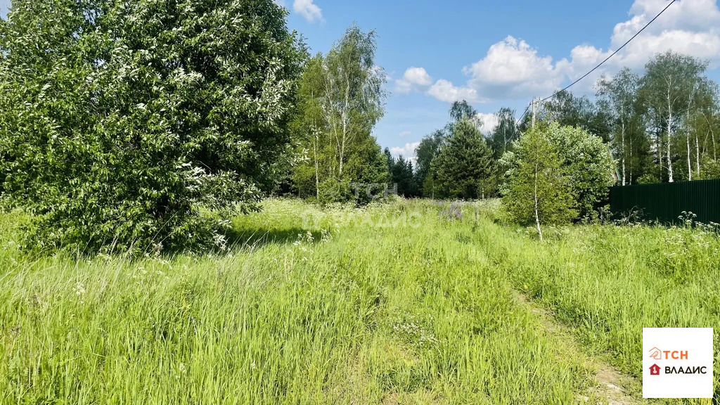 Продажа участка, Ямкино, Богородский г. о. - Фото 2