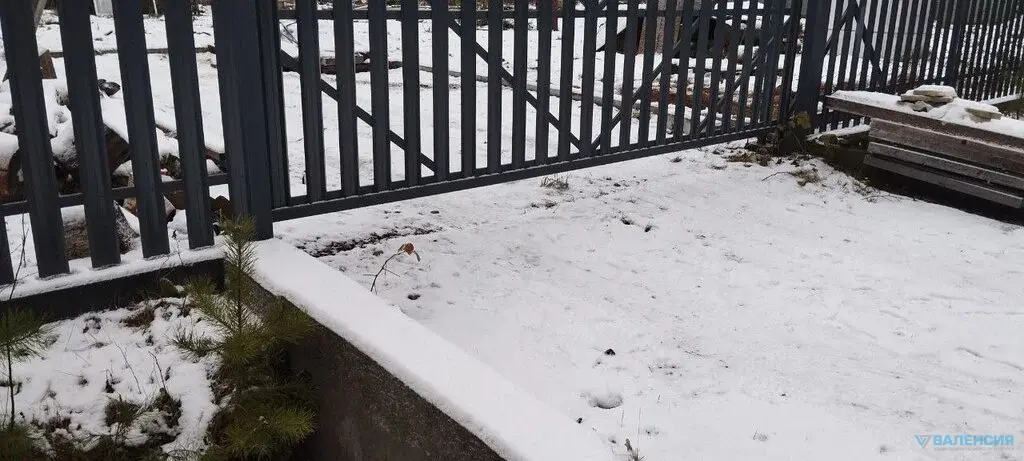 Продажа ЗУ в СНТ Сосновый бор, Куйвозовское СП, ж/д ст. 47 км - Фото 4