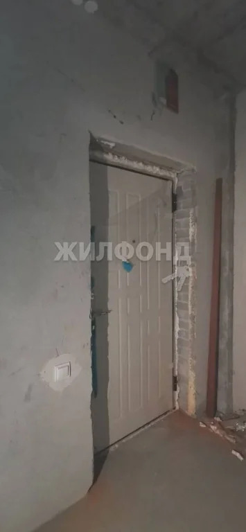 Продажа квартиры, Новосибирск, Виктора Уса - Фото 17