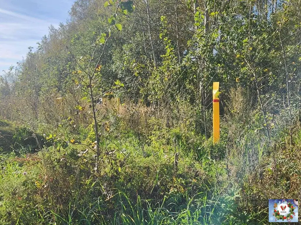 14 соток в деревне Бабурино  рядом озеро - Фото 12