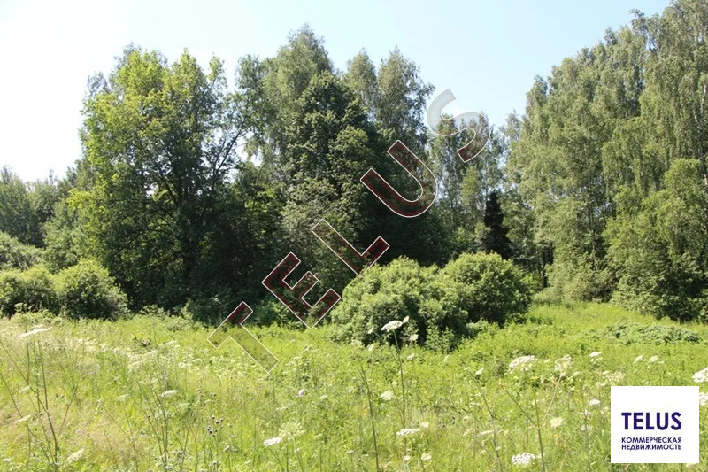 МО, Богородский г.о., с. Богослово, Земельный участок 7 га (ном. ... - Фото 2